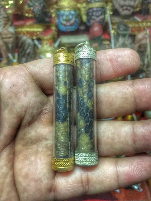 Tarkut da h-ổ và da r-ắ-n h-ổ m-a-n-g